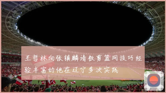 王哲林向张镇麟请教剪篮网技巧经验丰富的他在辽宁多次实践