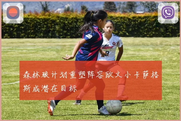 森林狼计划重塑阵容欧文小卡萨格斯成潜在目标